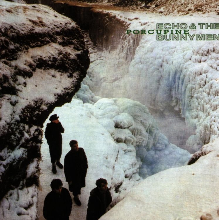 Echo and The Bunnymen - Porcupine