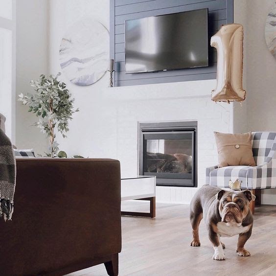 sala pet friendly