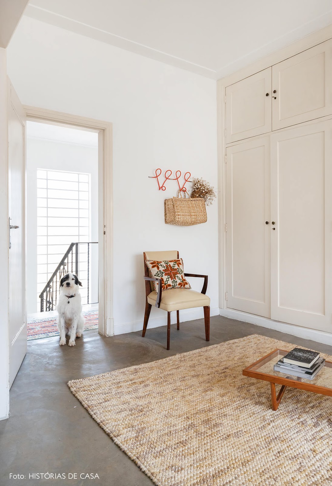 quarto pet friendly