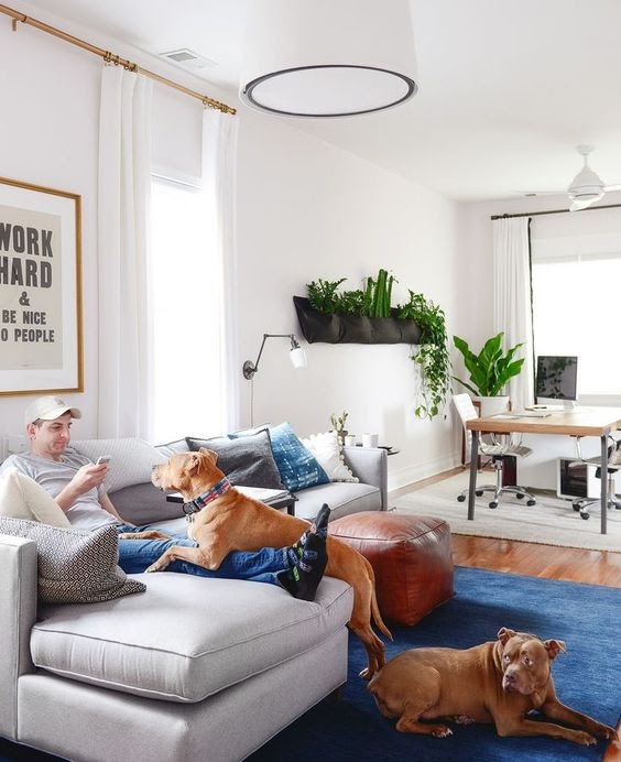 ambiente pet friendly