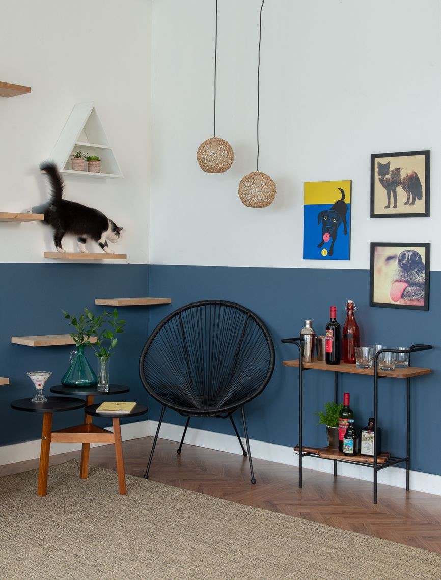 ambiente pet friendly