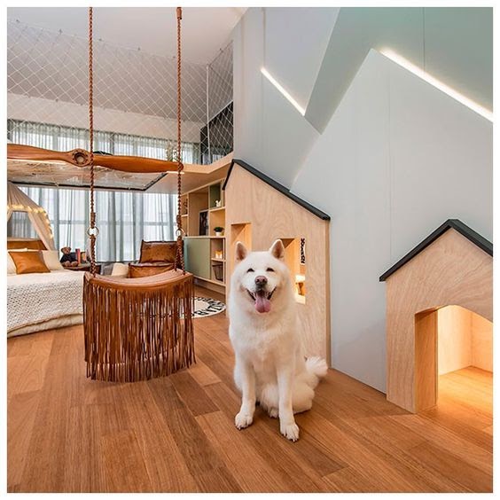 ambiente pet friendly