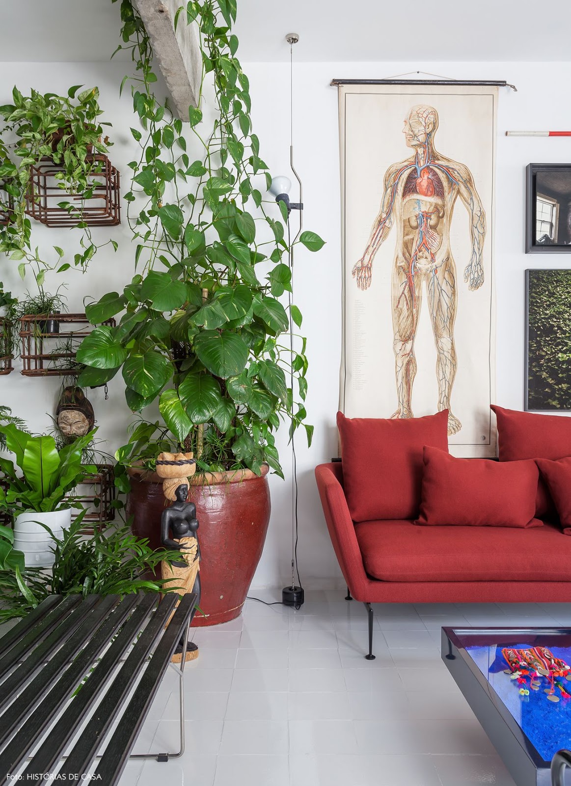 sala com plantas e sofá colorido vermelho