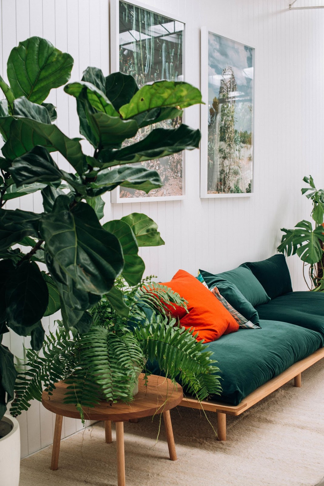 sala decoração tropical