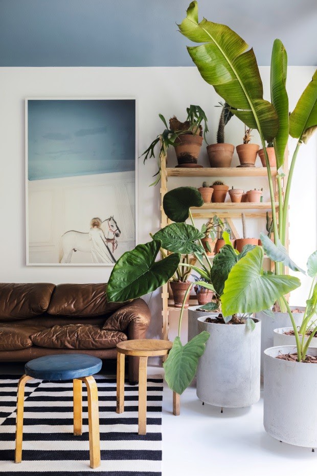 sala decoração tropical