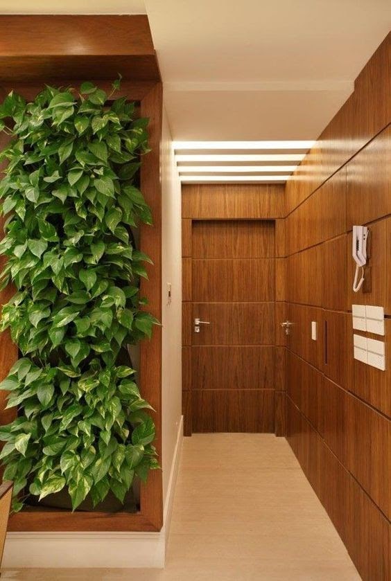 jardim vertical