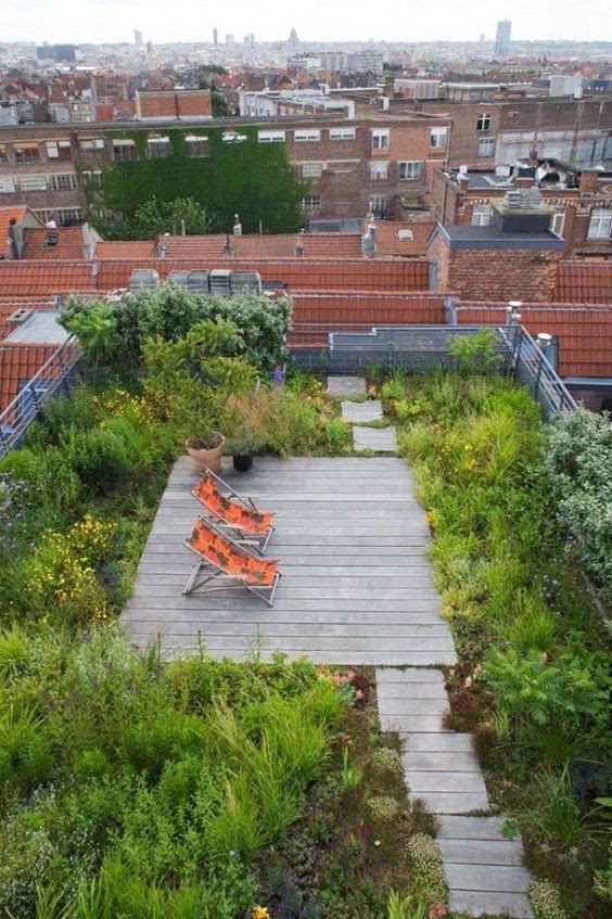 Como as pandemias moldaram a arquitetura