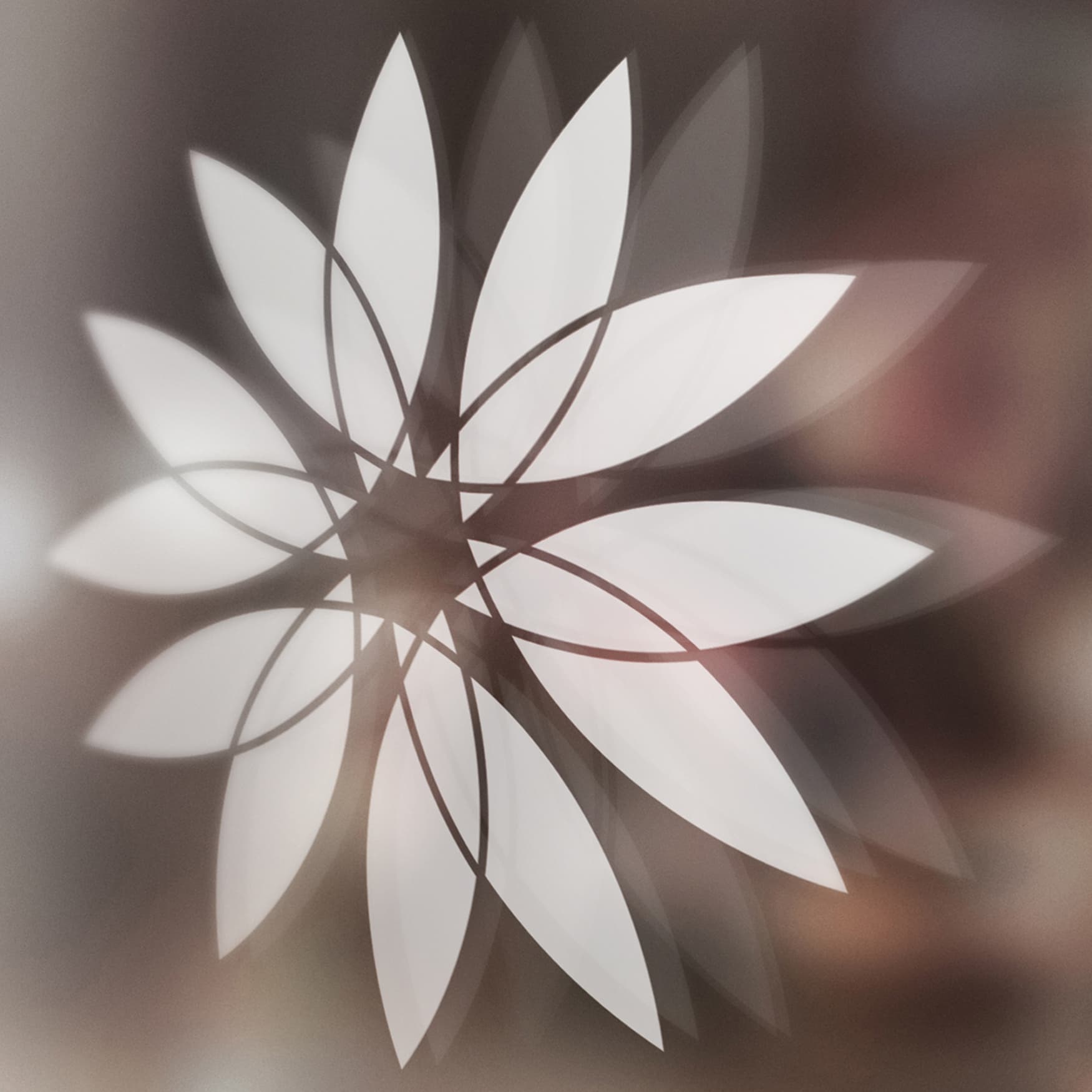 Aerocity logo mark in silver vinyl on glass with environment reflections