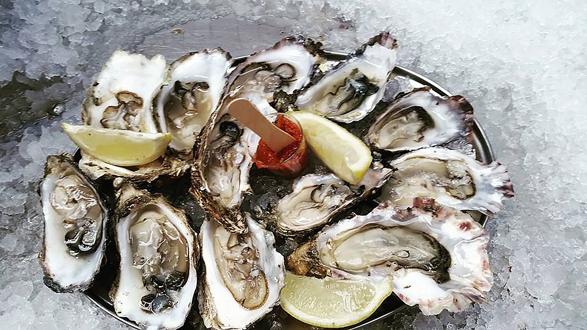 Eating oysters at the Oyster Shed, in Scotland