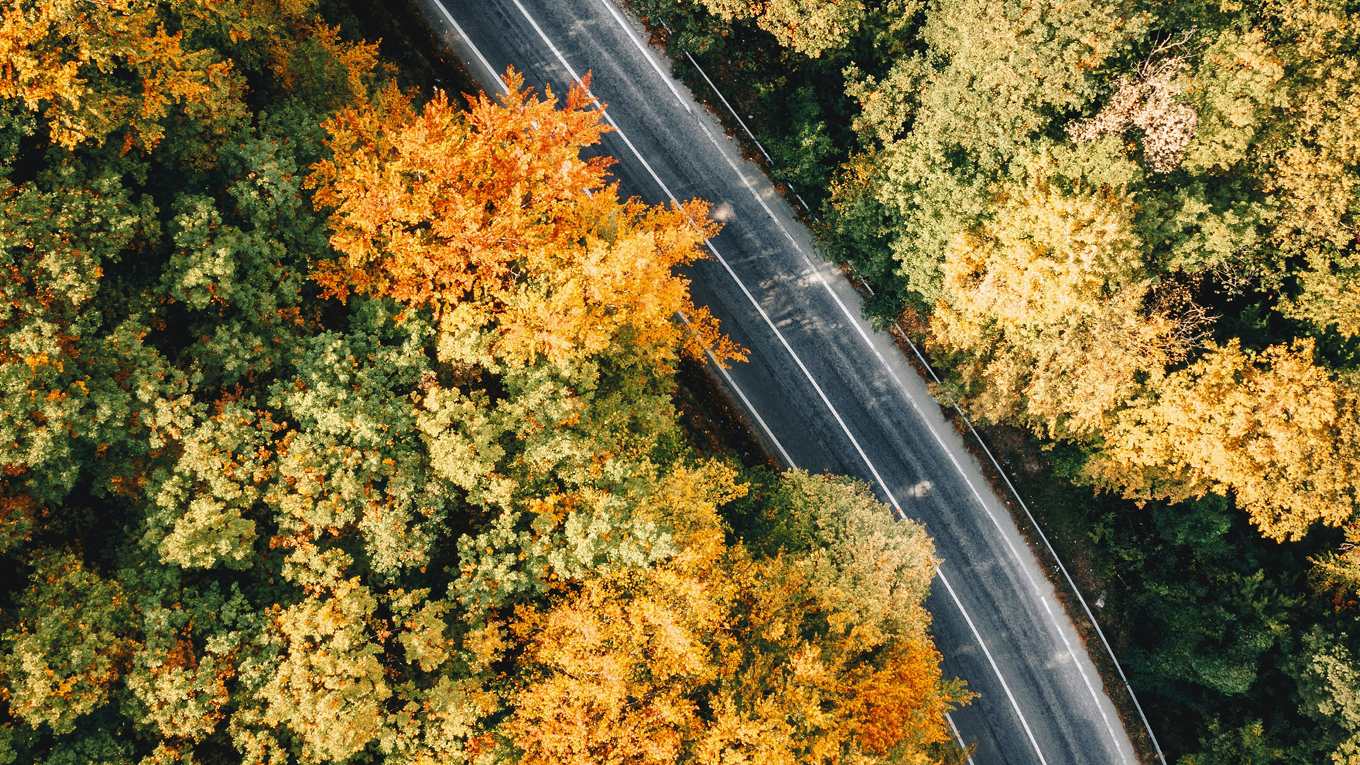 Romanian winding road