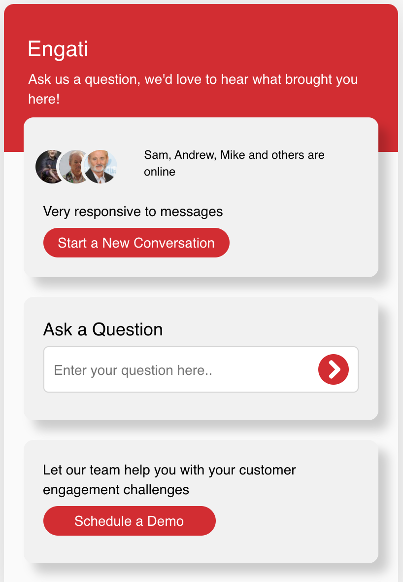 chatbot launch screen
