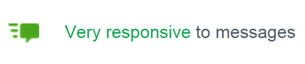 facebook responsive badge