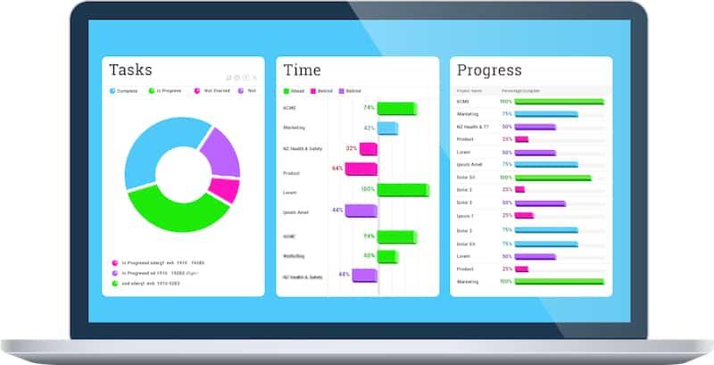 Project Management Software Infographic
