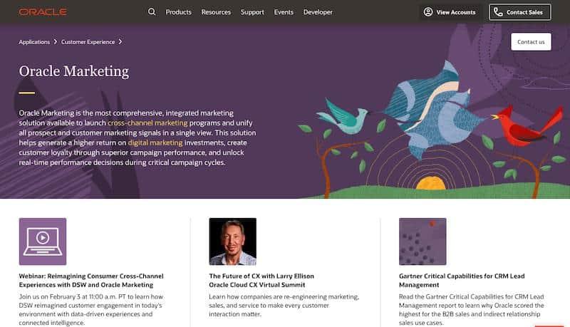 Oracle CX Marketing