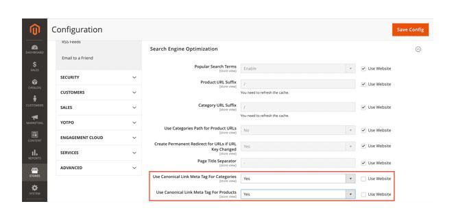 Canonical Link Meta Tag For Products