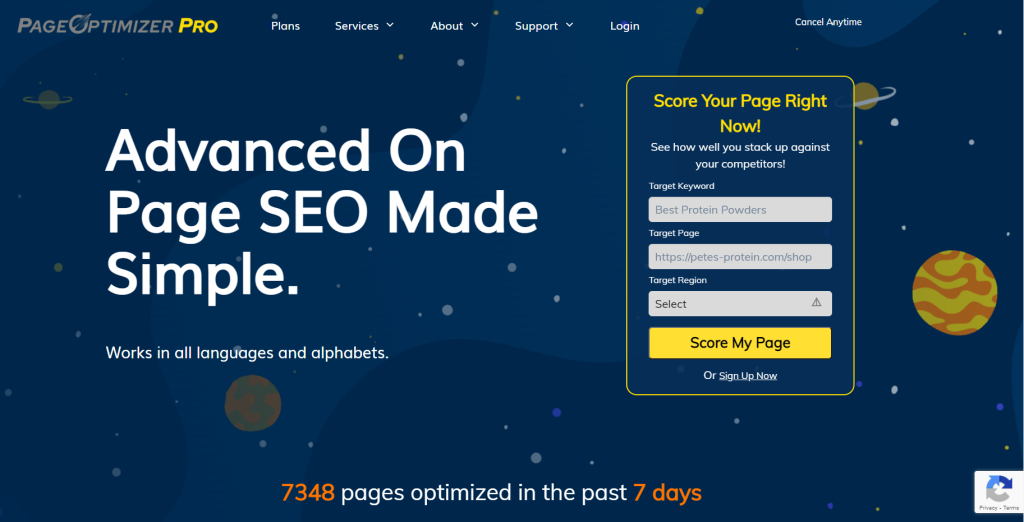 Page Optimizer Pro
