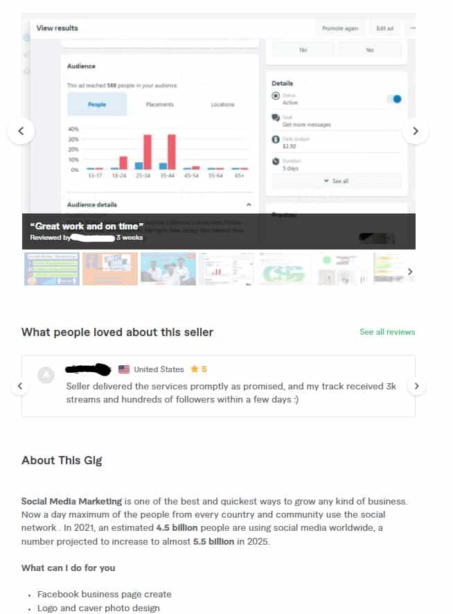 Fiverr the seller profile sample.