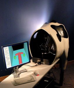 The Haptic Cow