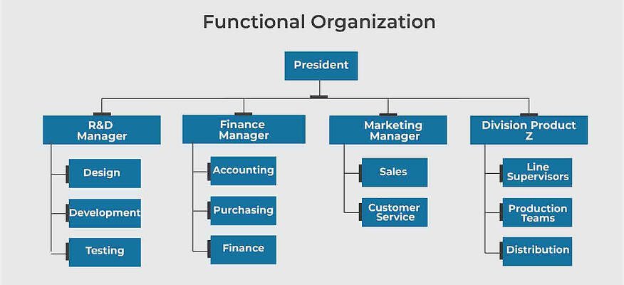 Contoh struktur organisasi perusahaan fungsional