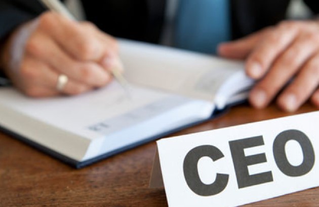 Apa itu CEO