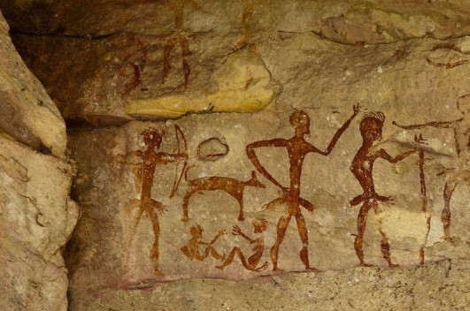 jenis jenis antropologi
