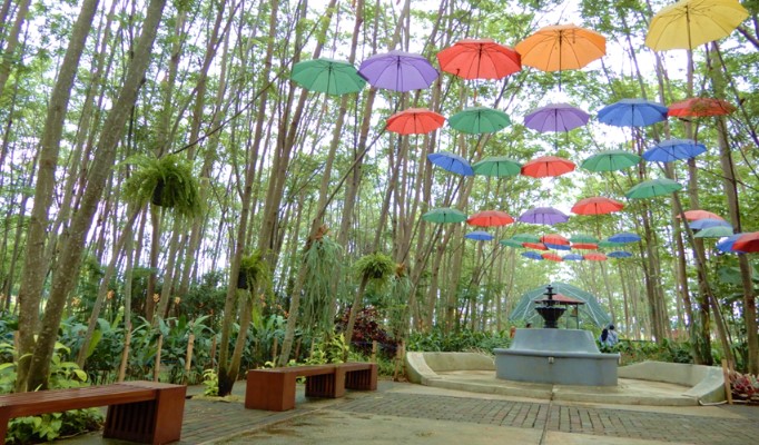rekomendasi tempat healing di bogor