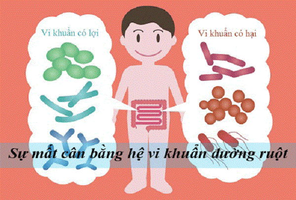 Rối loạn tiêu hóa khiến trẻ đi ngoài nhiều lần trong ngày