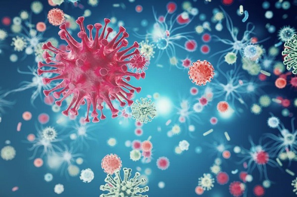 virus rsv gây bệnh viêm đường hô hấp trong đó có viêm phế quản ở trẻ