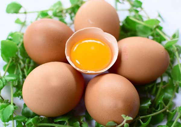 Trứng gà giúp mẹ bầu giảm các triệu chứng tiêu chảy