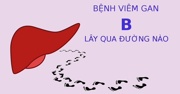 3 Con đường lây nhiễm bệnh viêm gan B