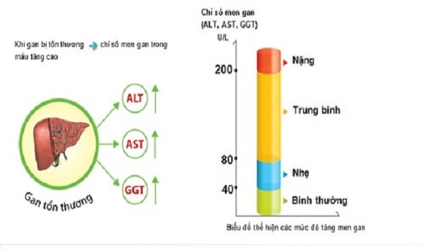 chỉ số GGT bao nhiêu là nguy hiểm