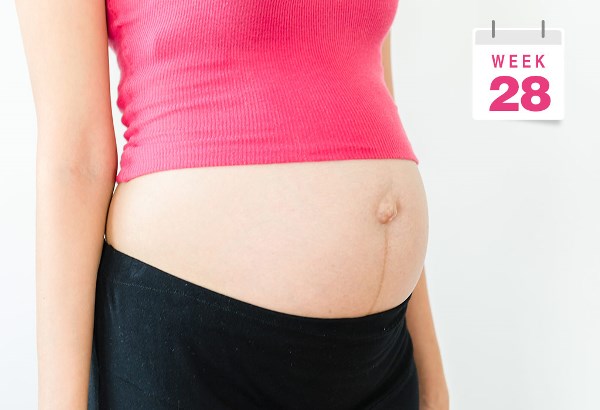 Khi bước vào tháng thứ 7, bụng bầu của mẹ bắt đầu to nhanh.