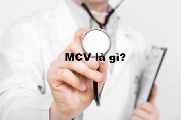 MCV là chỉ số phản ánh thể tích trung bình của hồng cầu