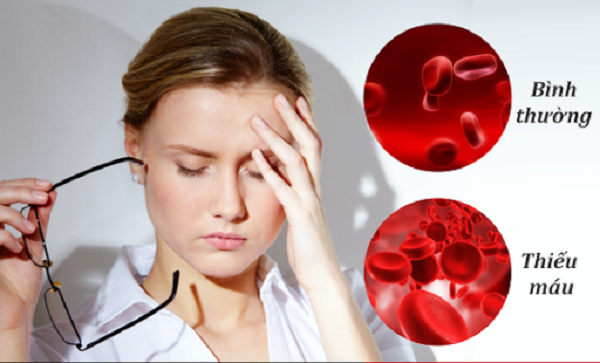 chỉ số mchc thấp do thiếu máu thiếu sắt