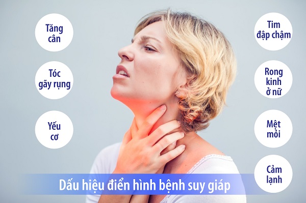 dấu hiệu suy tuyến giáp bạn cần phải biết