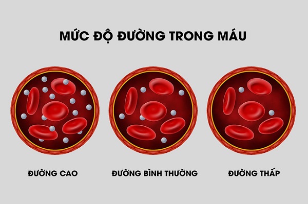 Chỉ số đường huyết