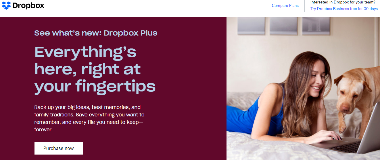 Dropbox - example of growth stage of SaaS product life cycle