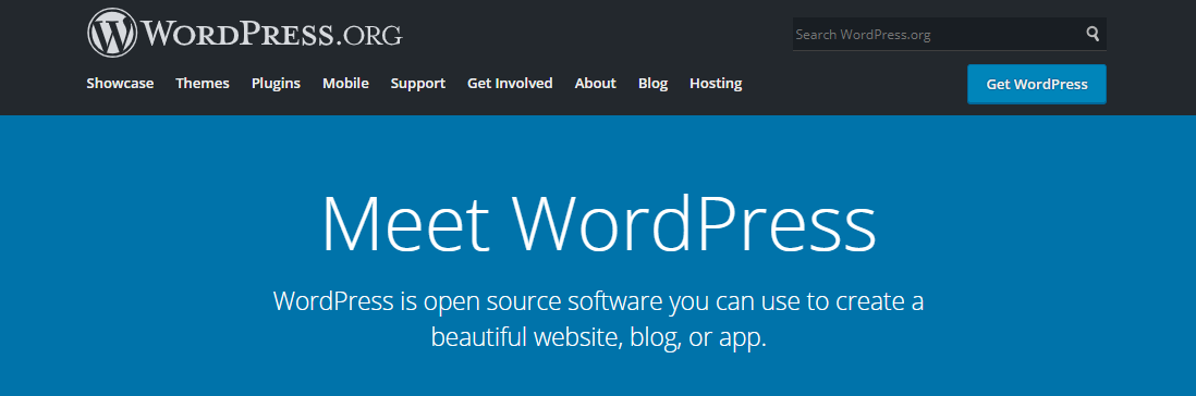 Types of SaaS software: CMS, WordPress