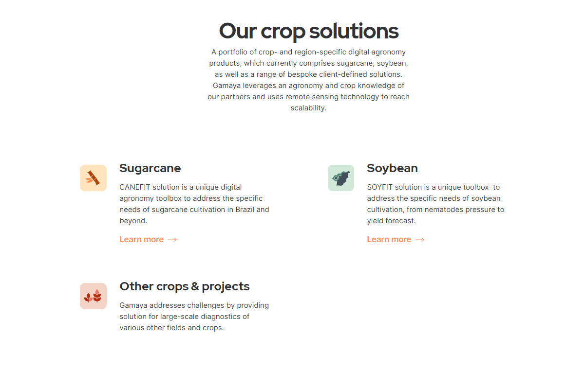 how to design the concept of the website?