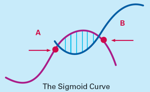 Maturity Stage in Product Life Cycle