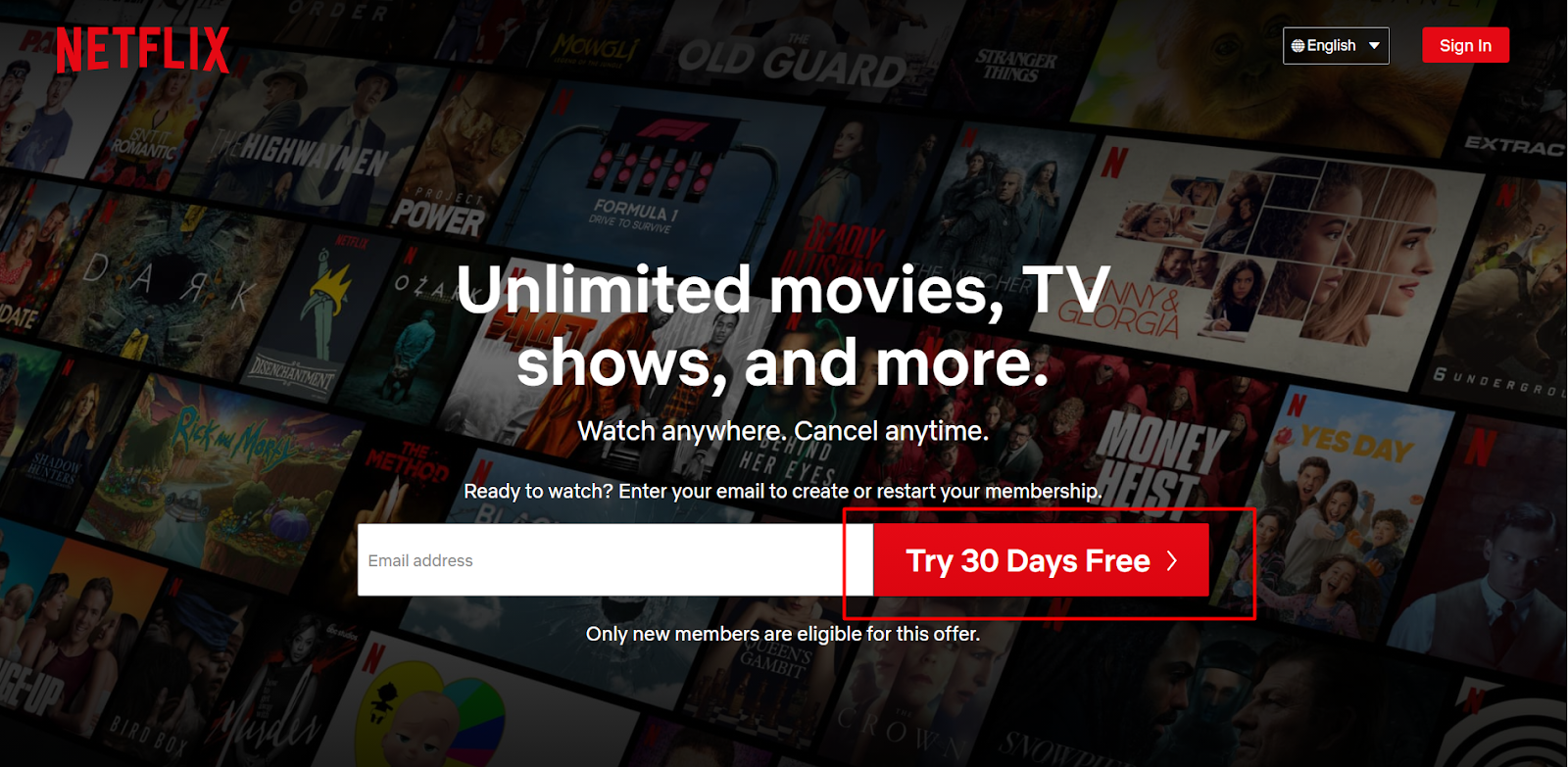 simple sin-up form Netflix example