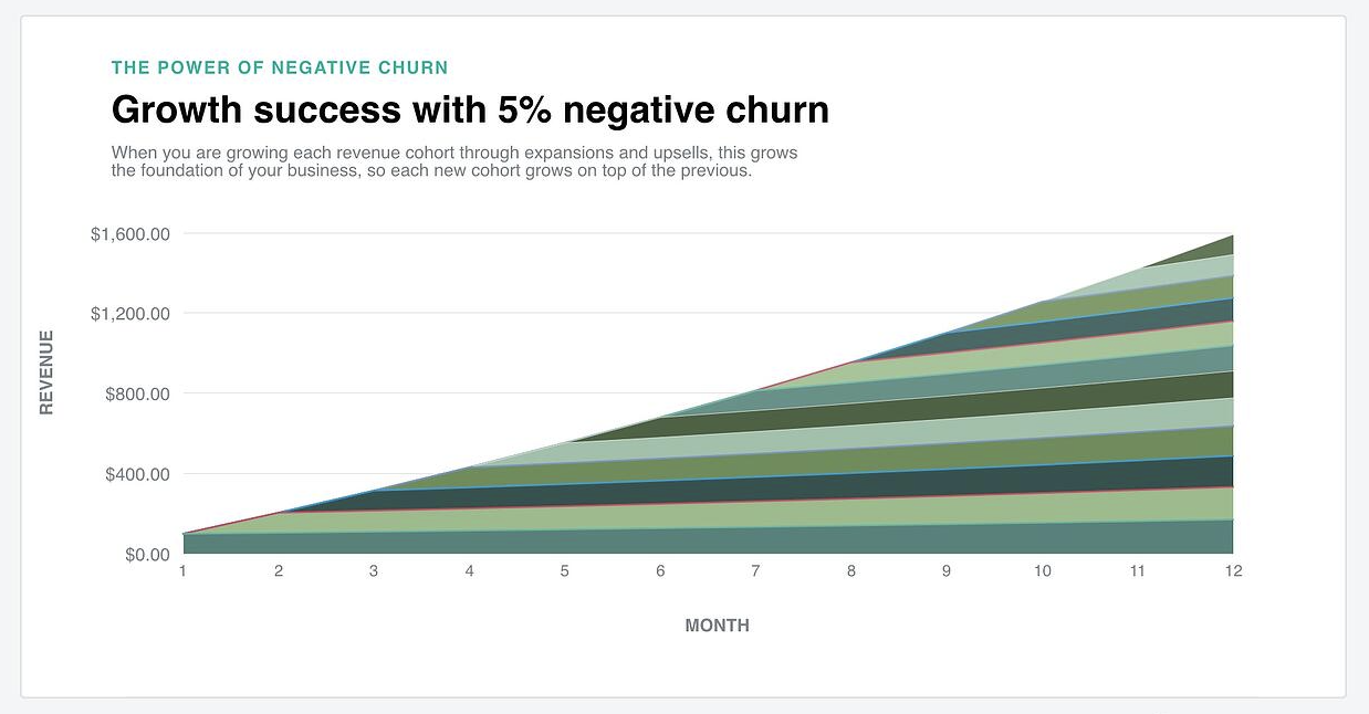 a graph that shows how significantly revenue can grow with only 5% negative churn.