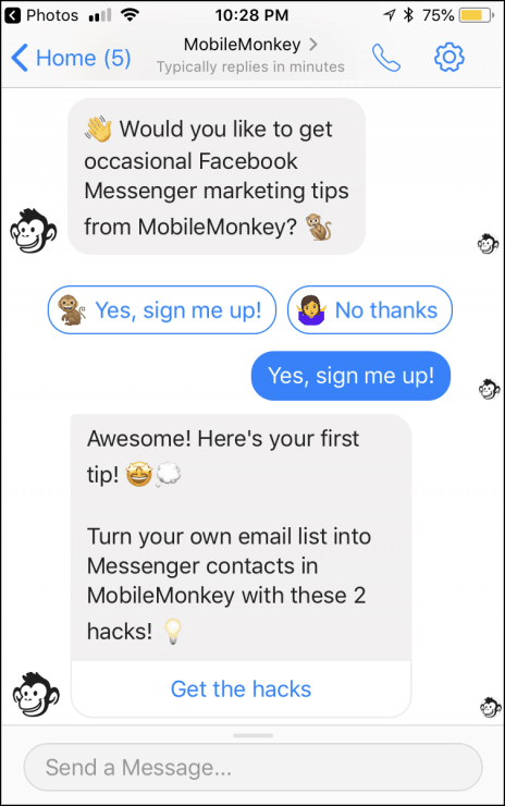 chatbot window example