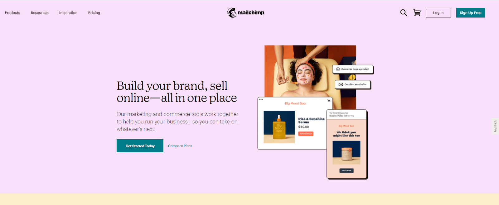Mailchimp website layout