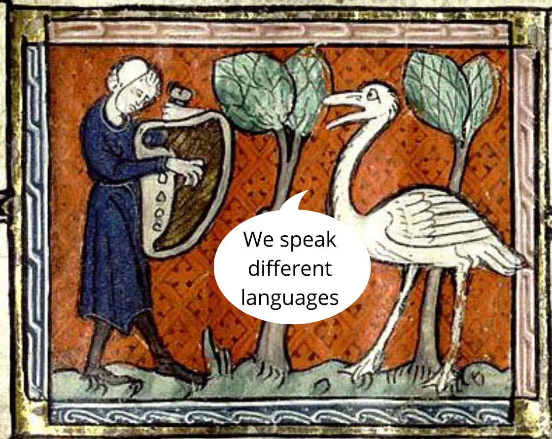Get through a financial language meme