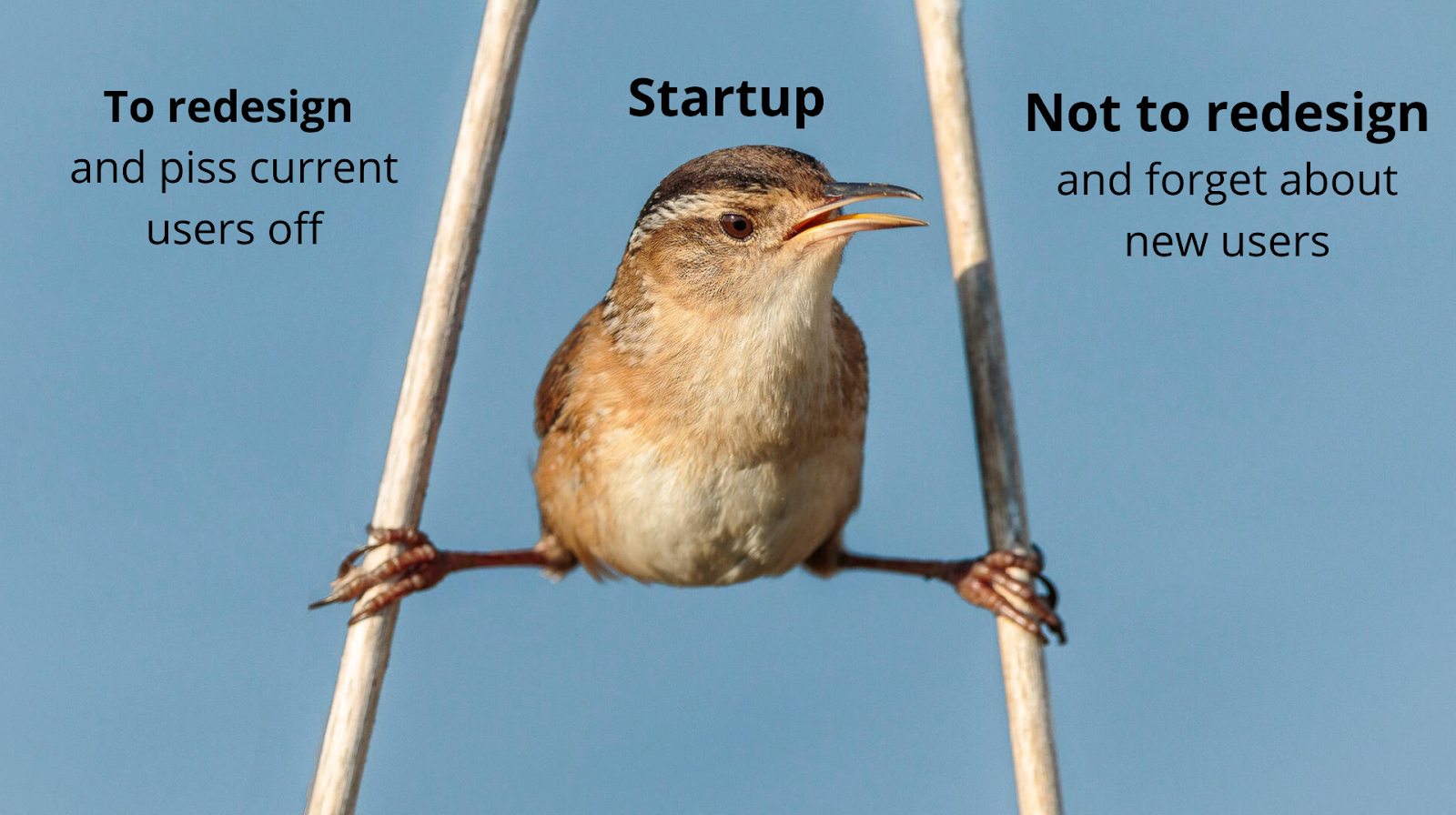the redesign dilemma meme