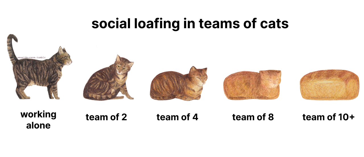 social loafing in teams of cats. 1 cat working alone --- 10 cats loafing