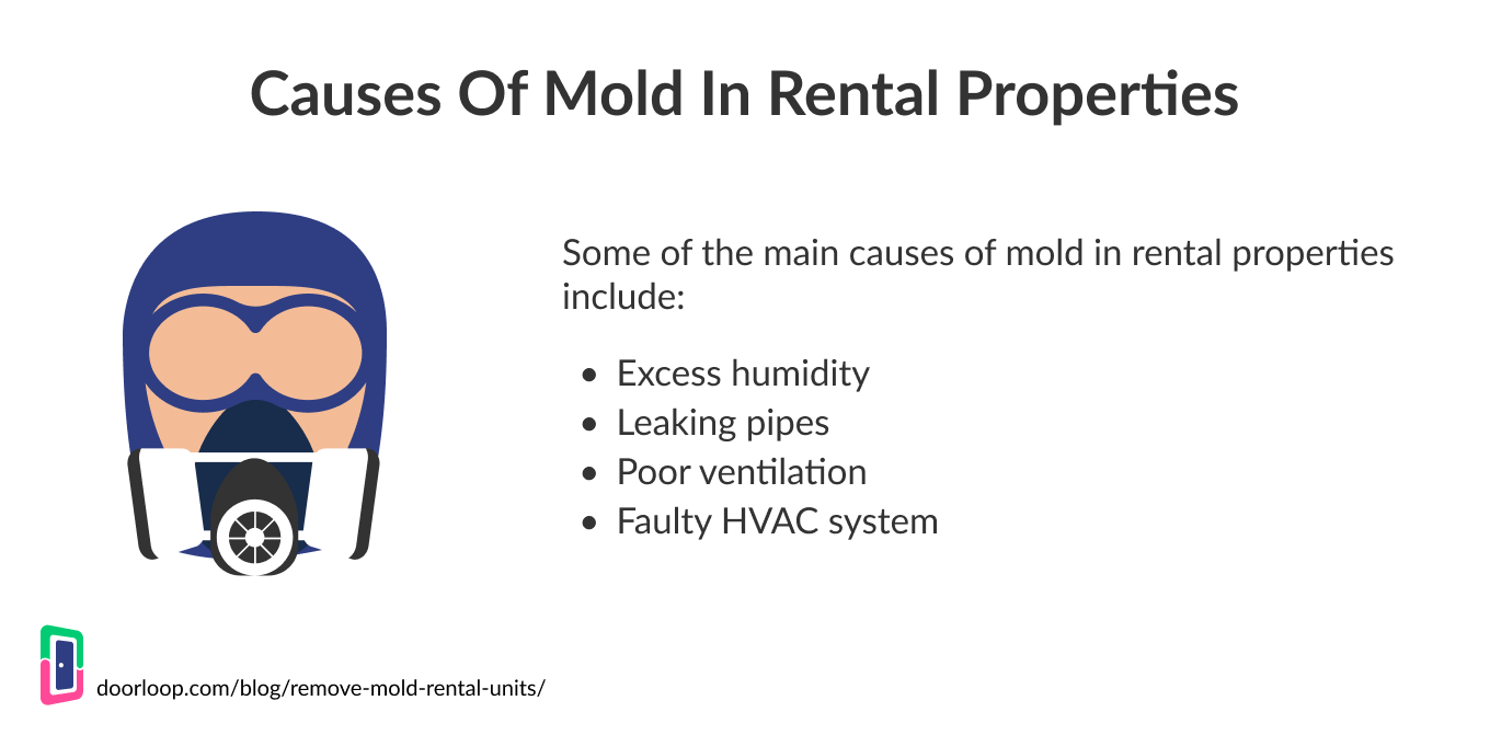 Causes Mold Rental Properties