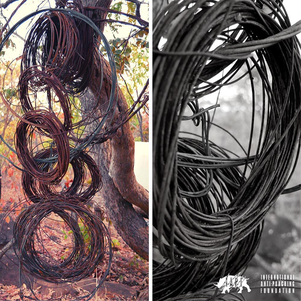 Wire snares
