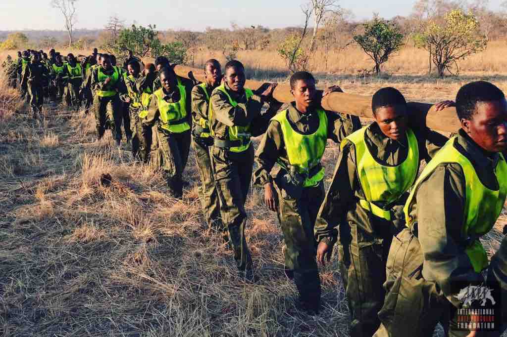Rangers training carrying a log